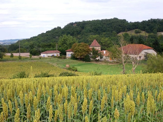 78780ee3-7b86-4bce-9d35-19a196dc0319