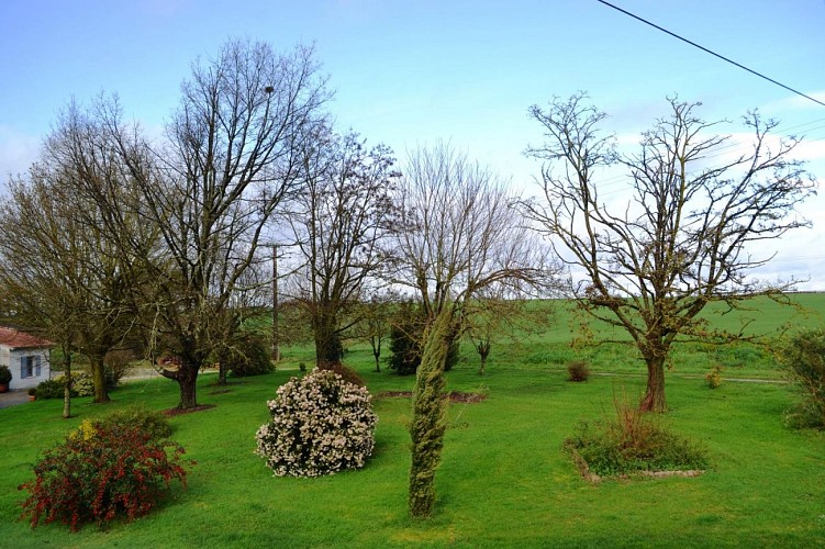 HLOAQU047V50EP3A_4850_photo18