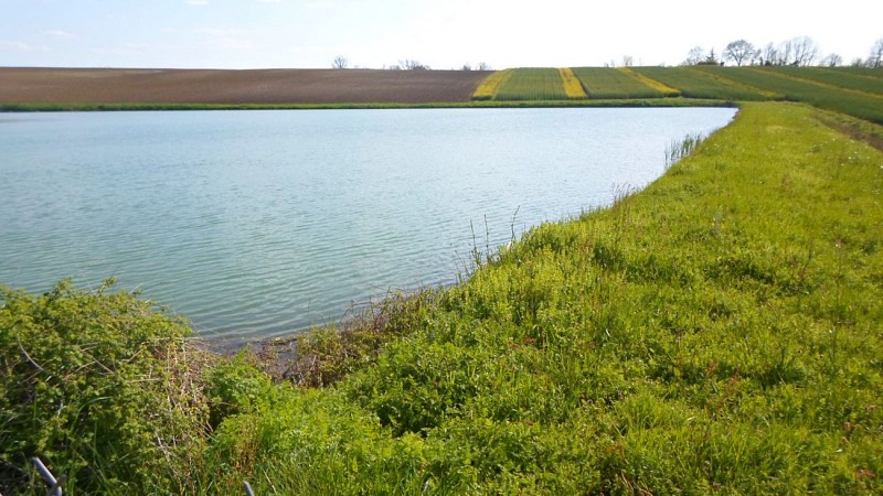 HLOAQU047V50EP3A_4850_photo4