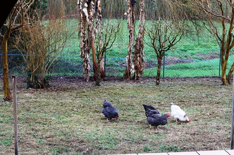 HLOAQU047V50GTAK_PasApas_Roumagne_5770_photo10