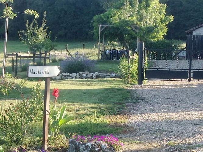 Maulevrier (2)