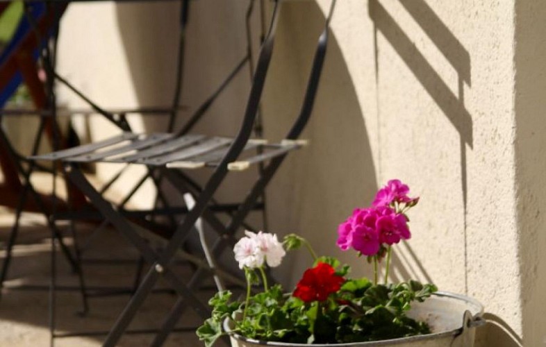 Les Vignes - Gîte Sud