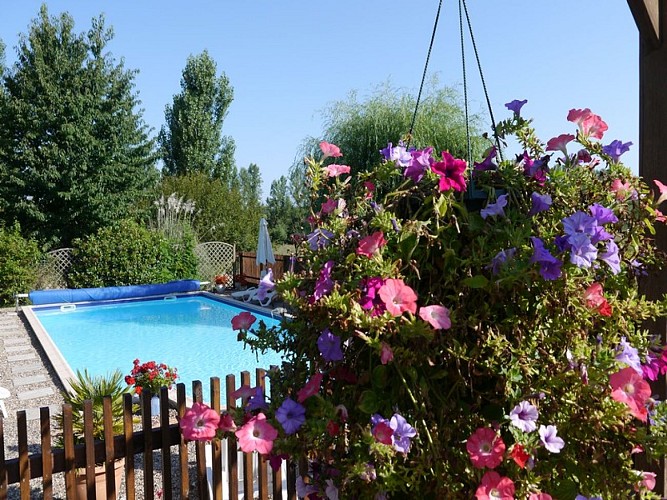 OTLT_HLO_Gites de Sévenne-Canard_Labretonie_piscine