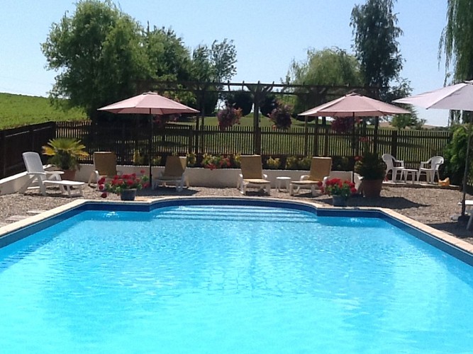 82788181_641685209974750_6119471658198630400_n