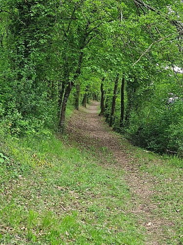 HLOAQU047V50J614_Montayral_Maison des Index_chemin