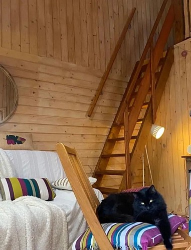 2fe212ab-dca9-4809-a4fa-450d34095aac