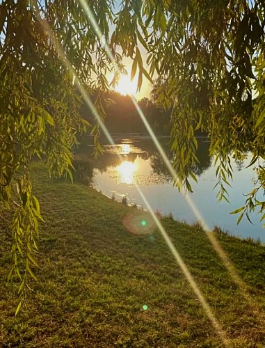 ee292fa6-ef90-4f7f-97f1-387d7e817fc2