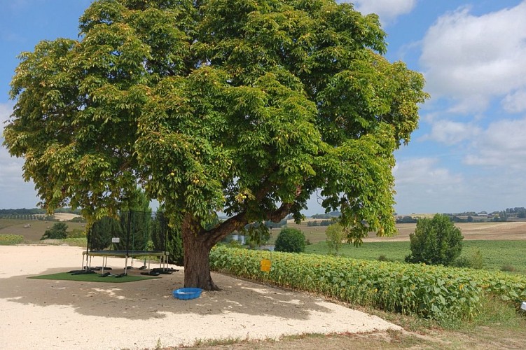 HLOAQU047V50JZJS_MONTASTRUC_04