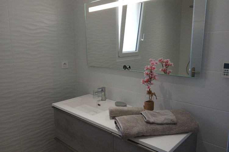 HLOAQU047V50JZJS_MONTASTRUC_11