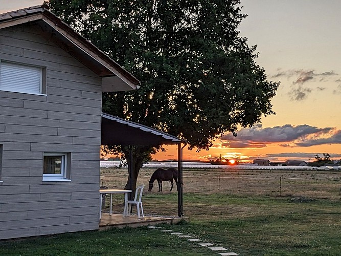 PXL_20230729_192511409 (1)