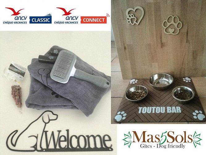 Kit accueil chien
