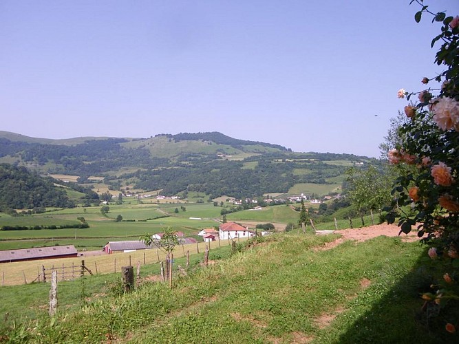maison-lascor-jardin-hosta