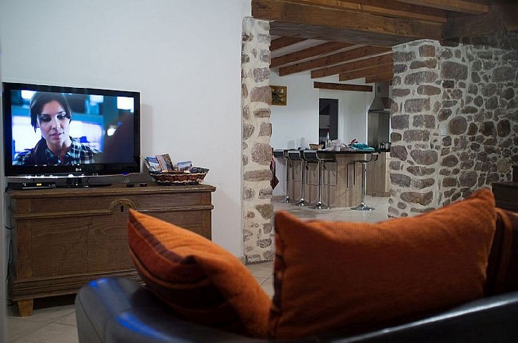 Maison Cedarry coin salon tv - Bidarray