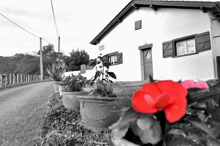 Maison Ahado - Fleur - Uhart Cize