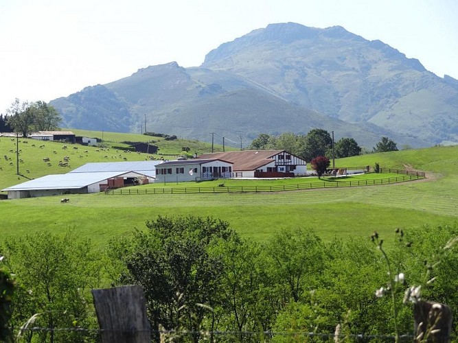 Madame Carmen ERRANDONEA