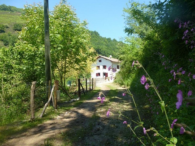 Maison Ithurreria - Banca