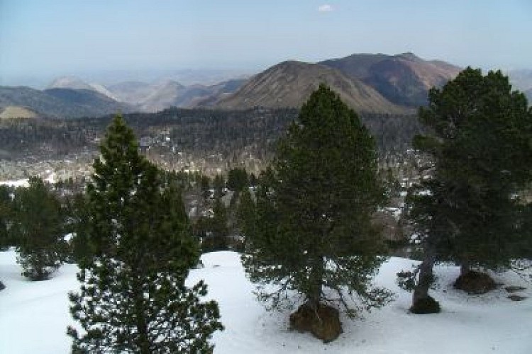 Appartement réf. PM050-140