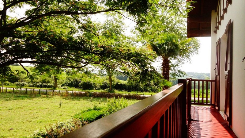 Olhegia - Arraute-Charrite (16)