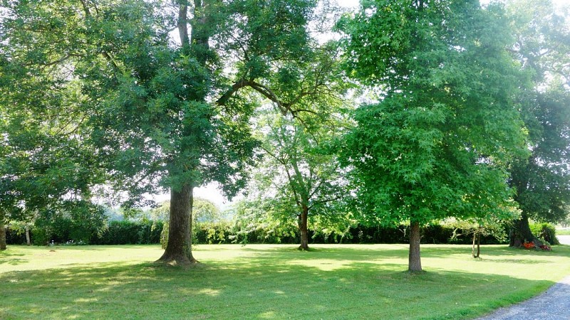 Olhegia - Arraute-Charrite (14)