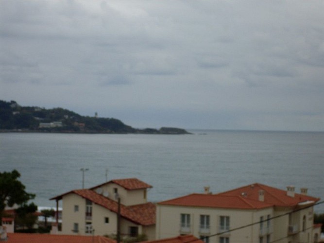 briulet 2016 022 [800x600]