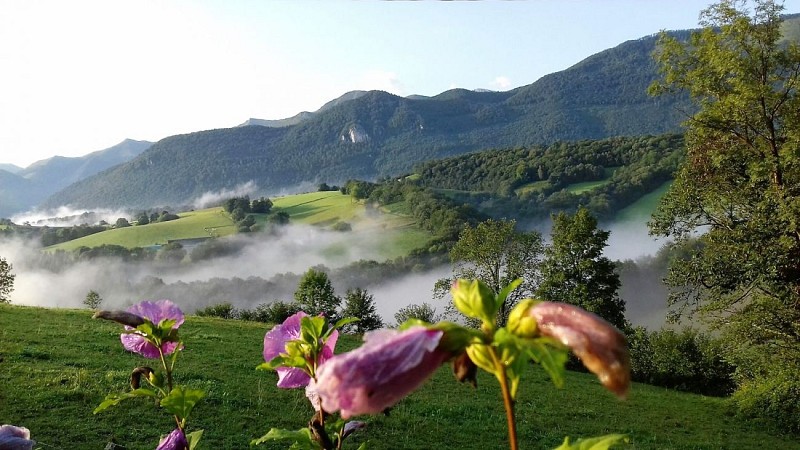 paysage-a-l-arrivee-format-2019-4