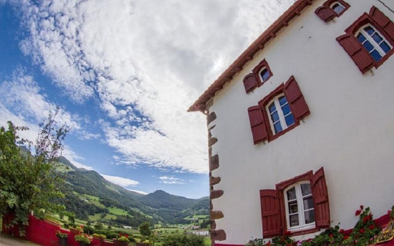 maison-delmotte-arkatchia---hosta