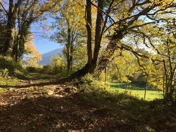 Gite-le-beau-lavoir-photo-exterieur
