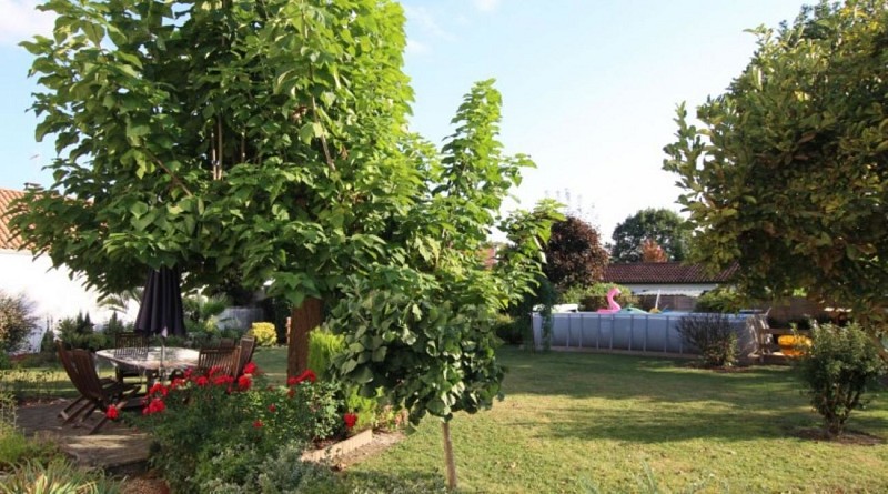 maison letchaureguy jardin saint palais
