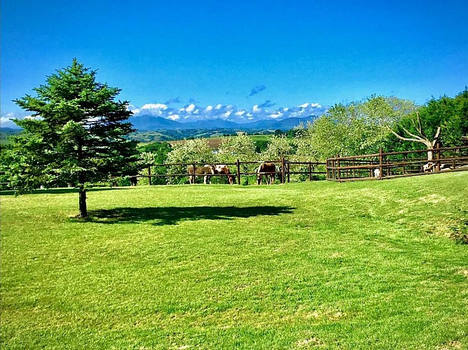 -bardos-ximista-coeur-pays-basque--ref--G142166