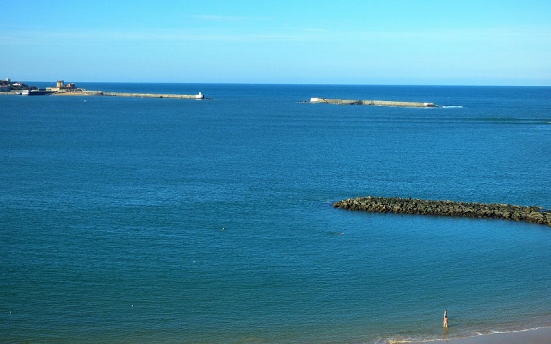 417-Vue-2-compressed