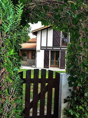 DSC-0101-resized-20200217-034238362