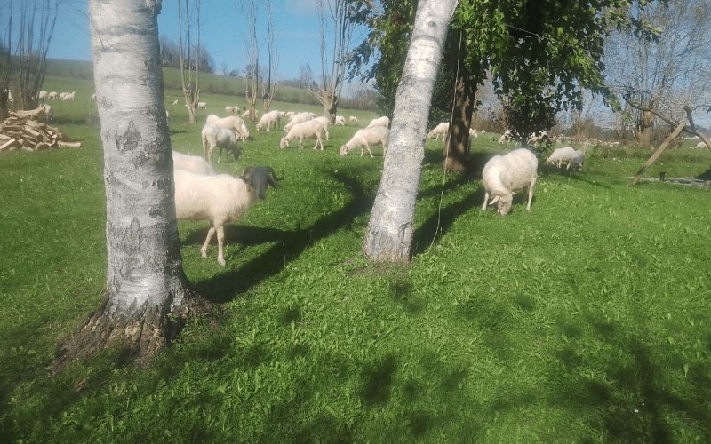 Retouches photos - 1440 x 900 - 15