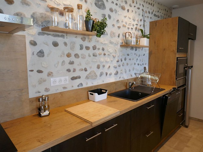 Vignes Grange des paons crédit Tourisme Nord Béarn (25)