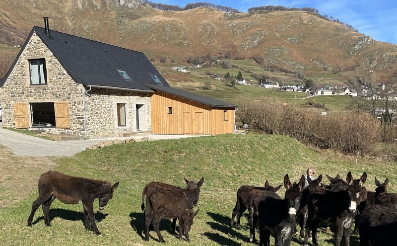 La Bourdette (les ânes sont en option)