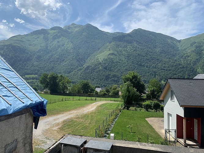 Vautour-Cressini©OTVO-15