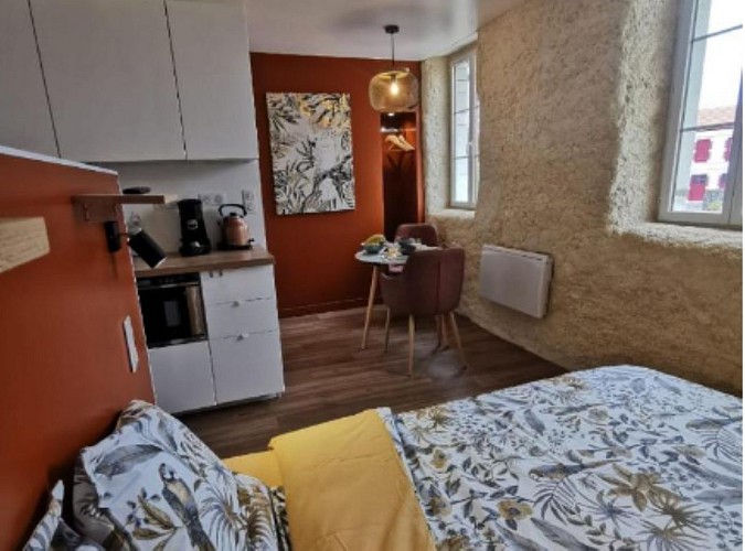 Les appartements du centre : le Terracotta