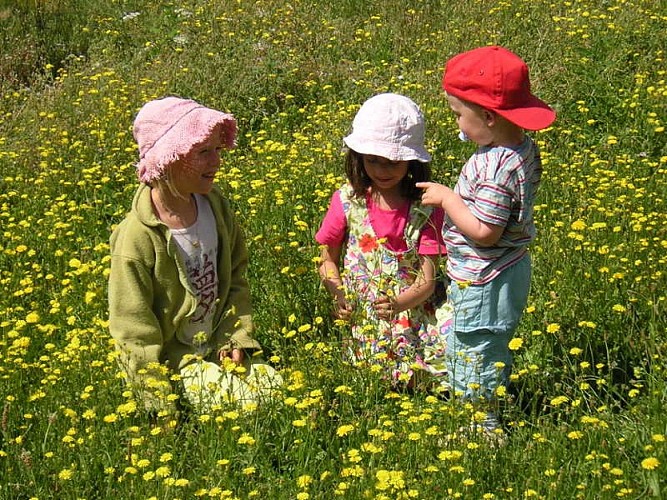 3 enfants dans les prés