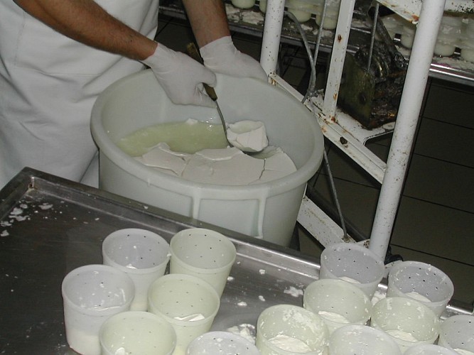 fromages8