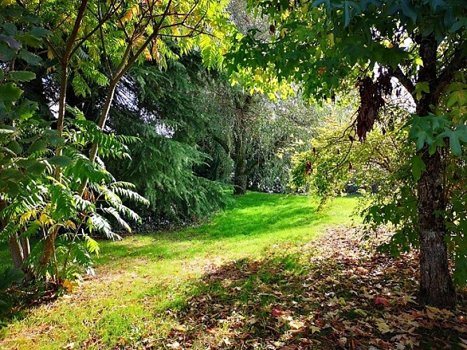 jardin-avant-automne