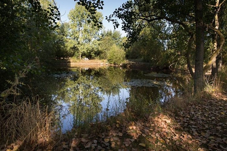 Etang-Meuble-de-tourisme-Scott-Smith-Bouille-Loretz-Thouarsais