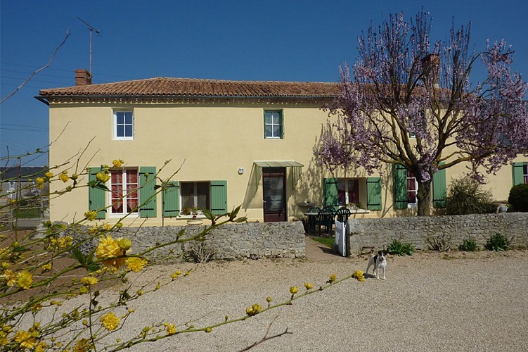 Le gîte Les Papillons