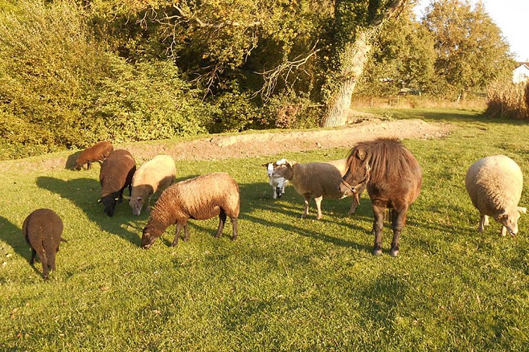 Meuble de tourisme gite a la campagne Gaboreau Glénay Thouarsais