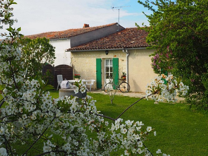 8-Le jardin