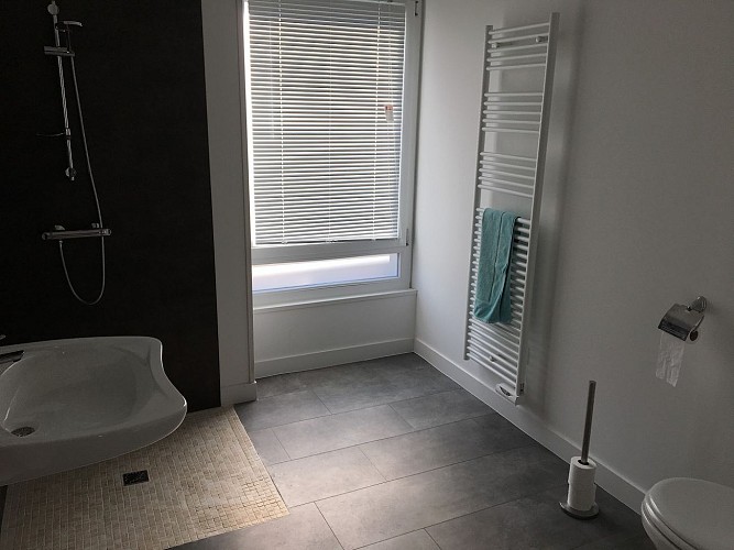 moutiers-sous-chantemerle-domaine-des-sablieres-gite-libellule-salle-de-bain