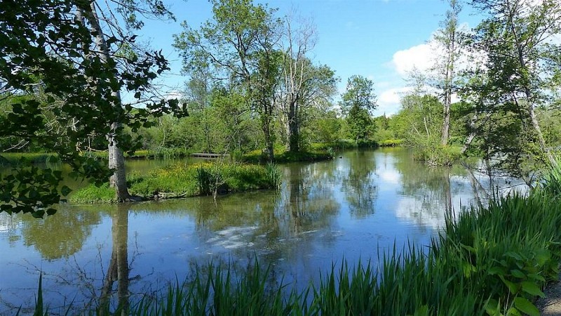 moncoutant-sur-sevre-domaine-des-sablieres-sevre-nantaise-3