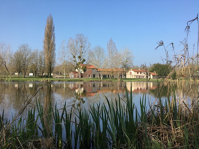 moutiers-sous-chantemerle-domaine-des-sablieres-gite-libellule-etang