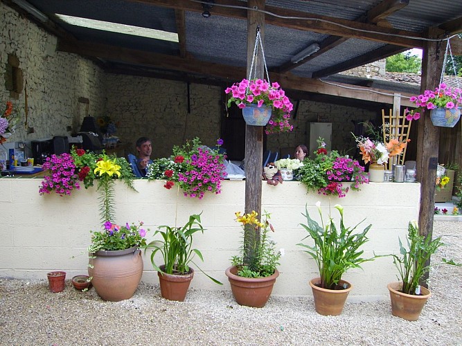 FLOWERS IN COURTYARD.JPG_2