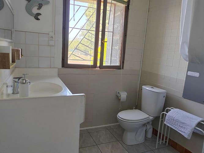 Meuble tourisme dahlias cardi Val en Vignes Thouars Thouarsais Deux Sevres