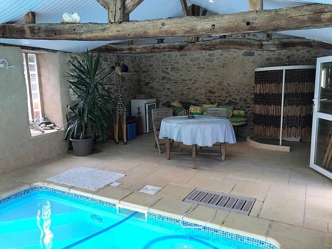 beaulieu-sous-bressuire-gite-albatros-coin-espace detente-piscine