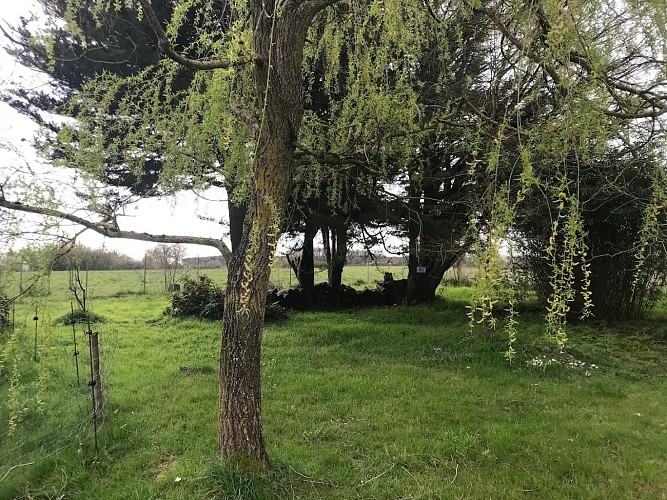 Meuble tourisme Mme FORT Cersay Val en Vignes Thouarsais Deux Sevres